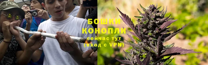 где купить наркоту  Мытищи  Марихуана Ganja 